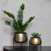 Tabletop Brass Set of 2 Planters 
